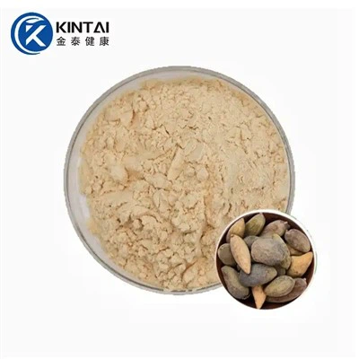 Galla Chinensis екстракт